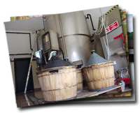 Azienda