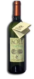 Solecurtus