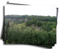 Fossili e Vigneti