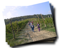 Piacenzianische Tour