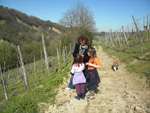 Clicca per Ingrandire