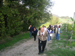 Clicca per Ingrandire