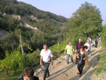 Clicca per Ingrandire